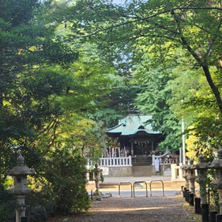 ペット同伴（持込）参拝について