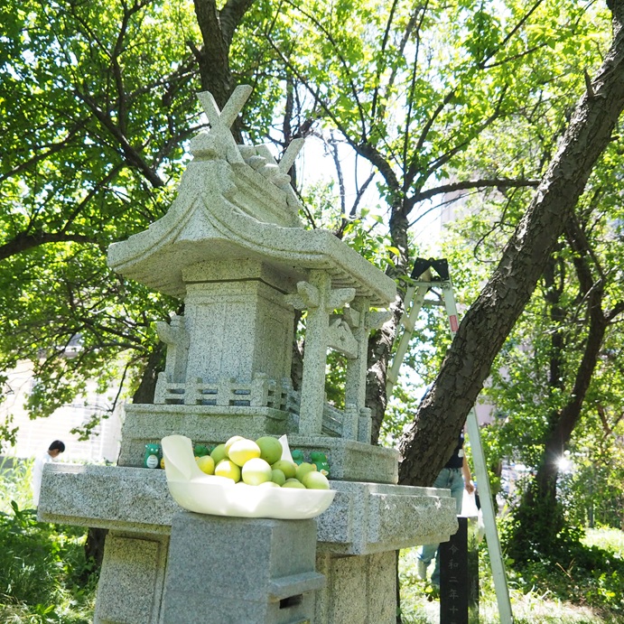 龍神祭のご案内