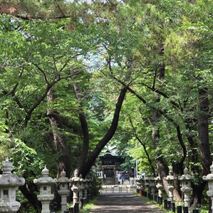 神池の春日社及び山王社建立御奉賛のお願い