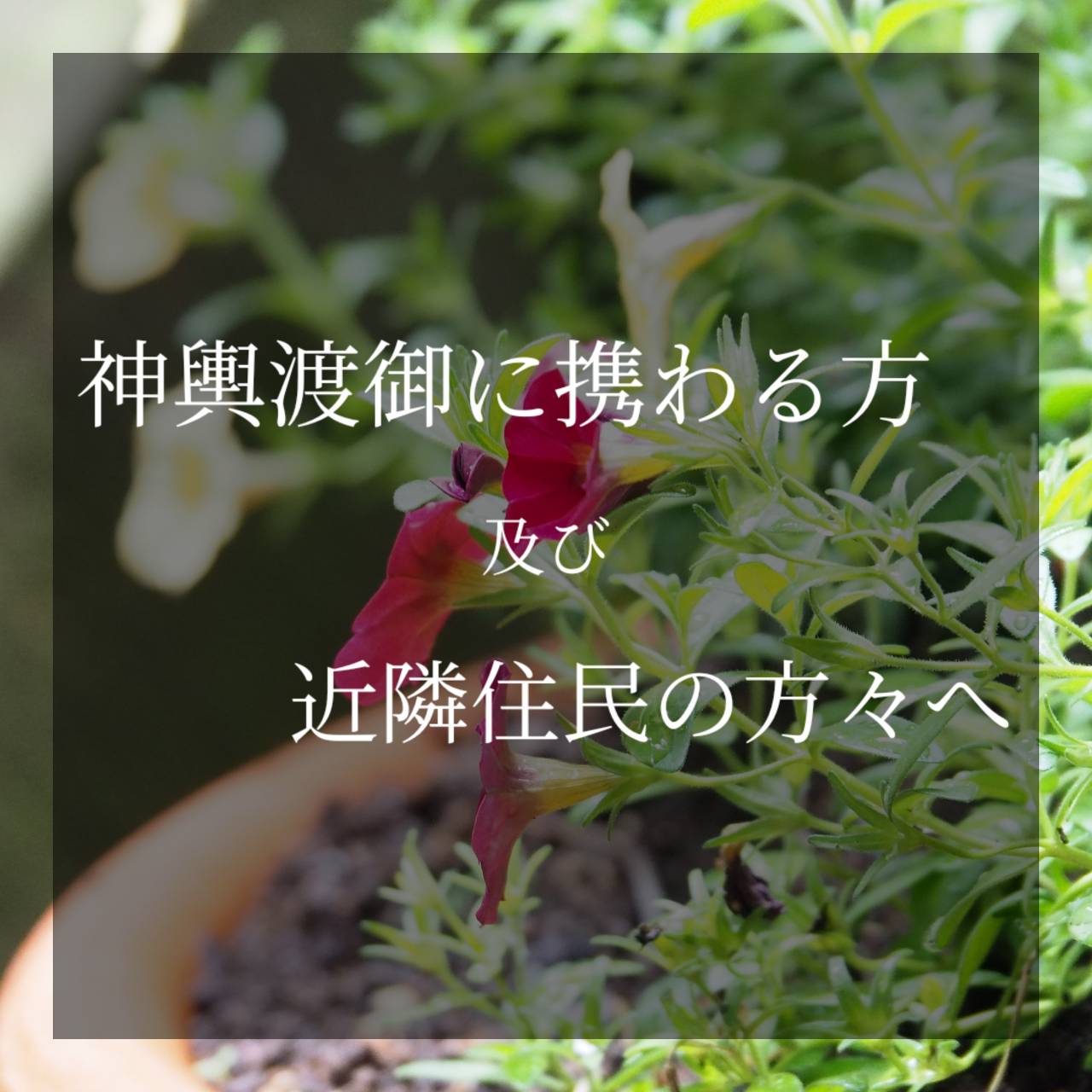神輿渡御に携わる方へ